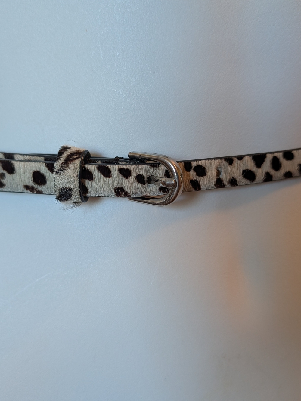 Ann Taylor Leopard Print Skinny Belt with Silver Buckle - Black & Cream